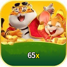 Plataforma 65x